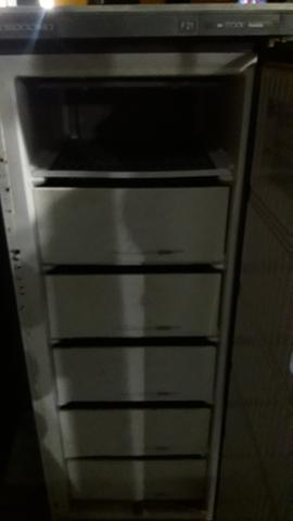 Freezer vertical
