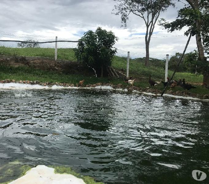 Chácara Top de Linha - More na Roça com Conforto de Cidade