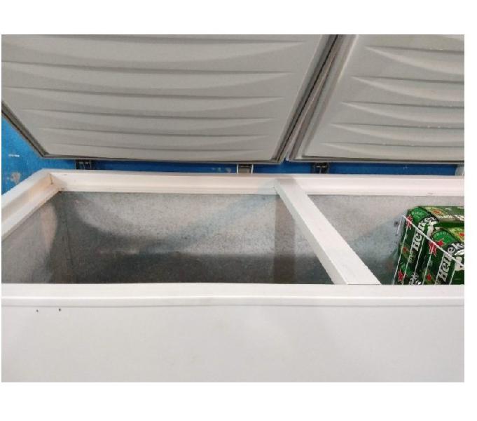 Freezer Horizontal 110v