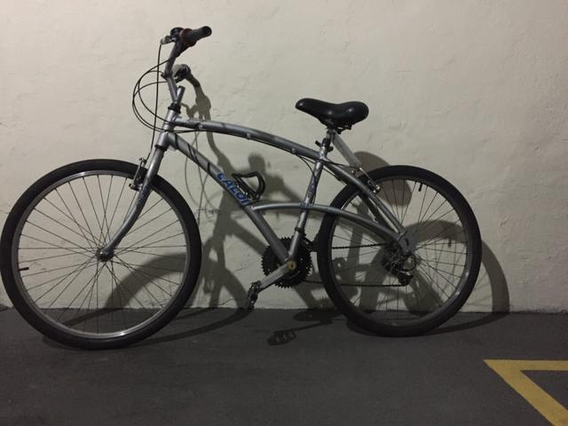 Bicicleta