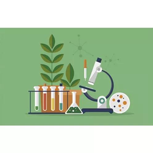 Aulas Particulares De Ciências (biologia E Quimica)