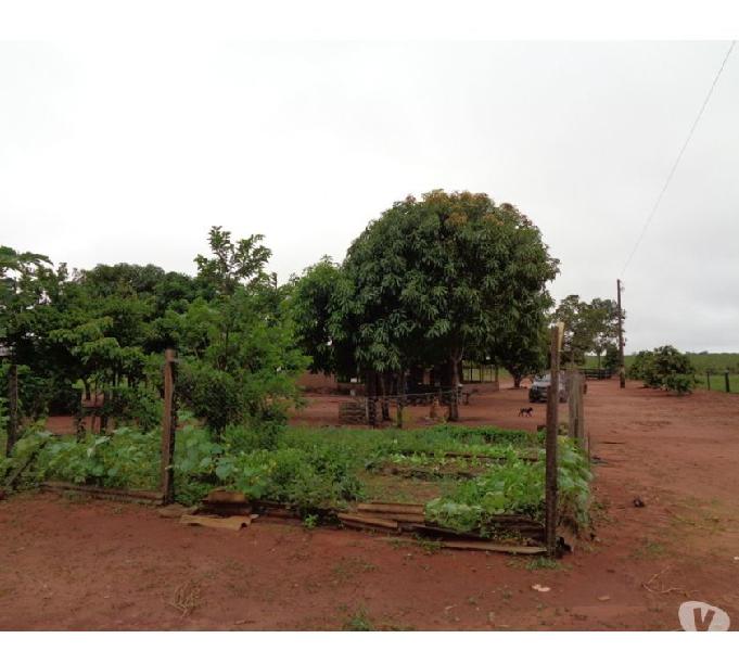 FAZENDA COM 2.700 HECTARES EM CHAPADA DOS GUIMARÃES MT - -