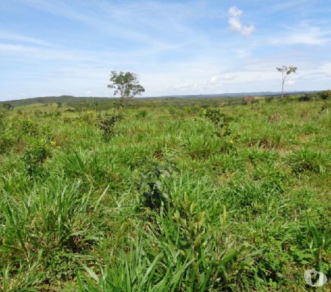 FAZENDA COM 200 HECTARES EM CHAPADA DOS GUIMARÃES