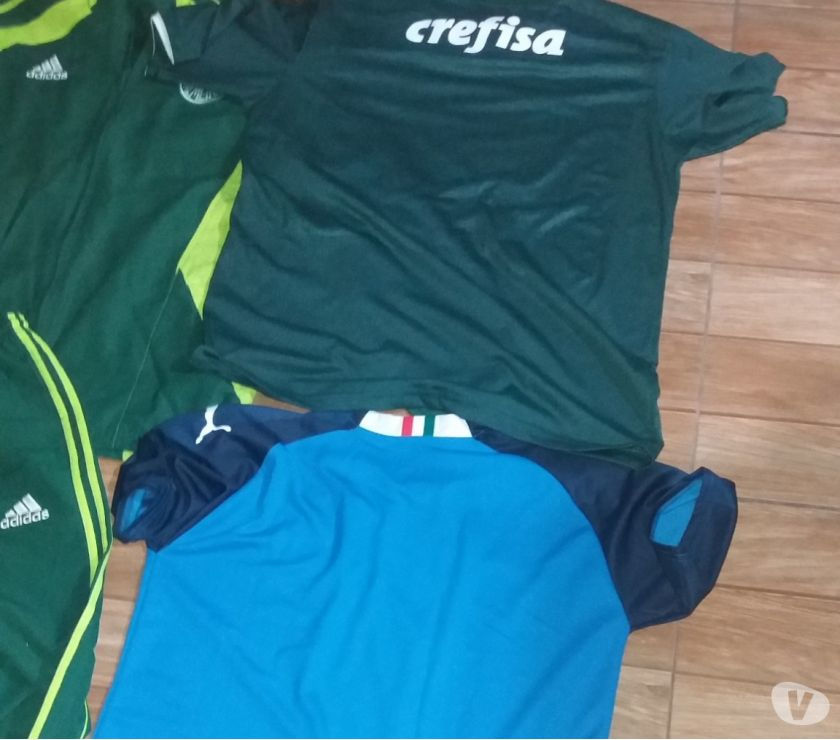 Kit conjunto Palmeiras