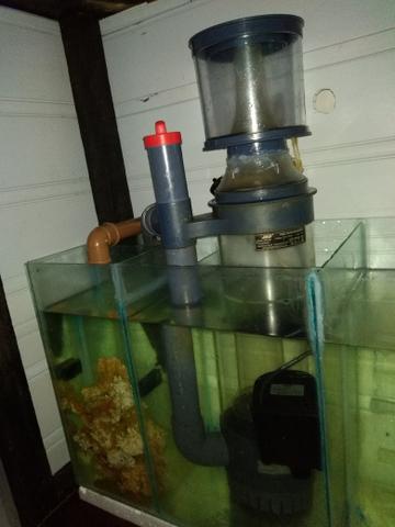 Aquário skimmer
