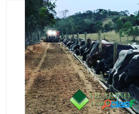 FAZENDA EM ITAUNA - MG - PARA GADO CONFINADO OU LEITERO