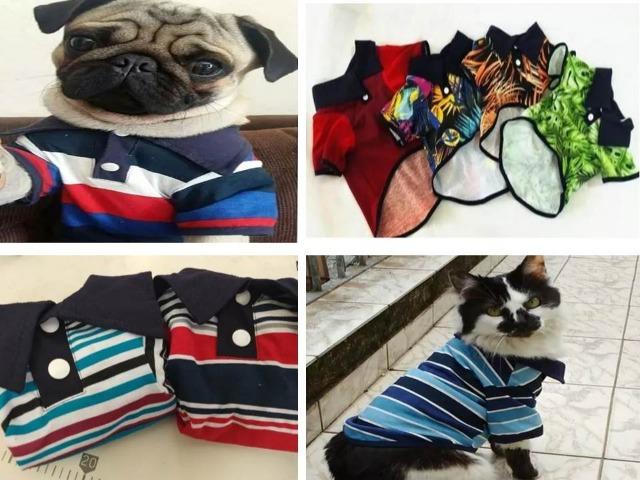 Roupas para pet no atacado kit com 15 pçs