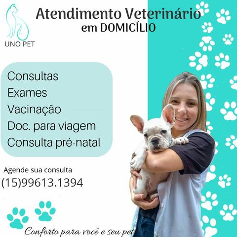 Veterinária em Domicílio