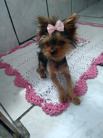 Troco