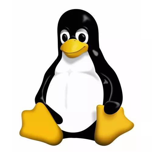 Suporte Técnico - Linux, Redes E Sist