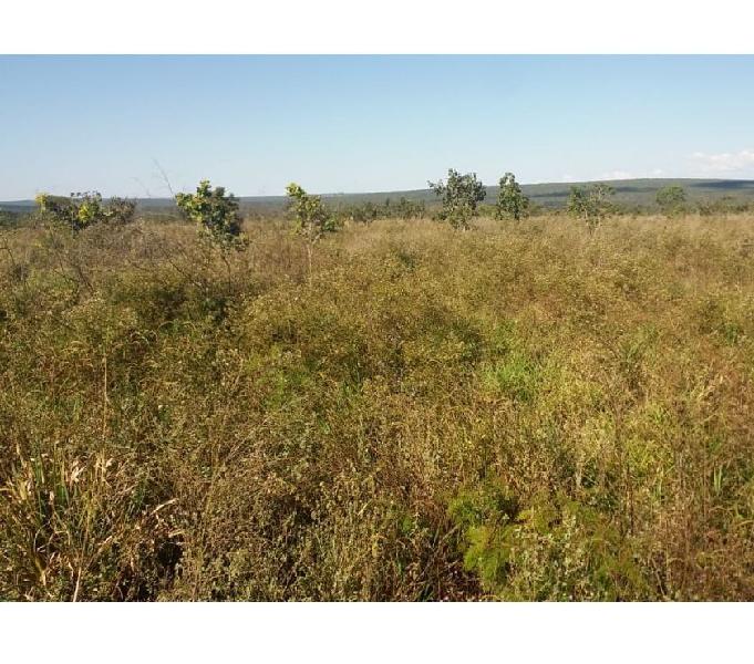 BELISSIMA FAZENDA A VENDA ITIQUIRA