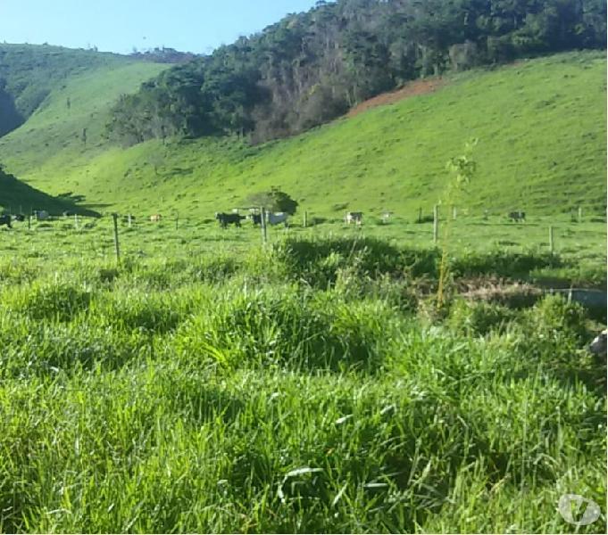 Fazenda de 30 alqueires a 16 km da cidade de Ladainha