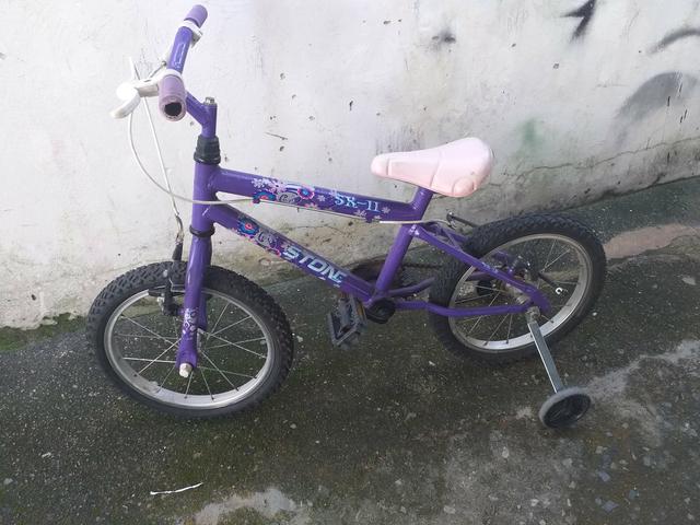 Bike arpoador 16