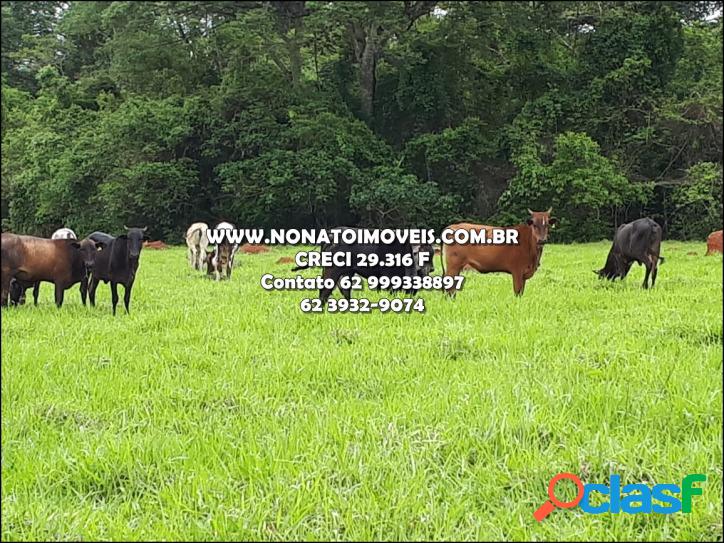 Excelente terra em Anicuns ! 2 km apenas de chão de terra !