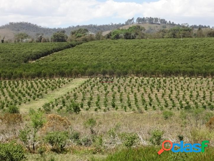 FAZENDA COM 248 ALQUEIRES - SERRA NEGRA - SP