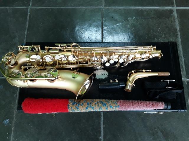 Sax Alto Cecilio Usa Dour Noviss Saxofone De Luthier Troco+$