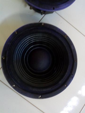 Vendo dois alto falante 12 de 450 RMS wpu Selenium