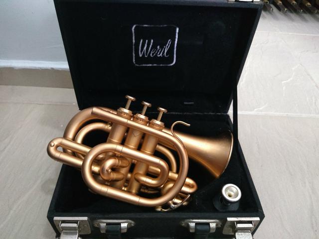 Vendo ou troco por violino ou violoncelo