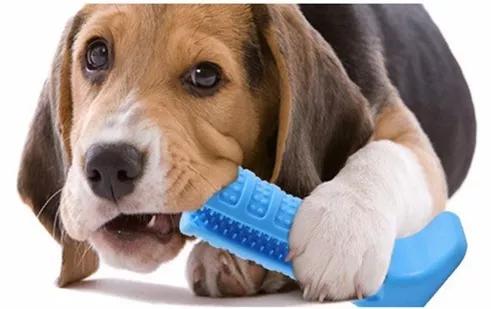 Brinquedo Pet E Escova De Dentes Mordedor Para Cães