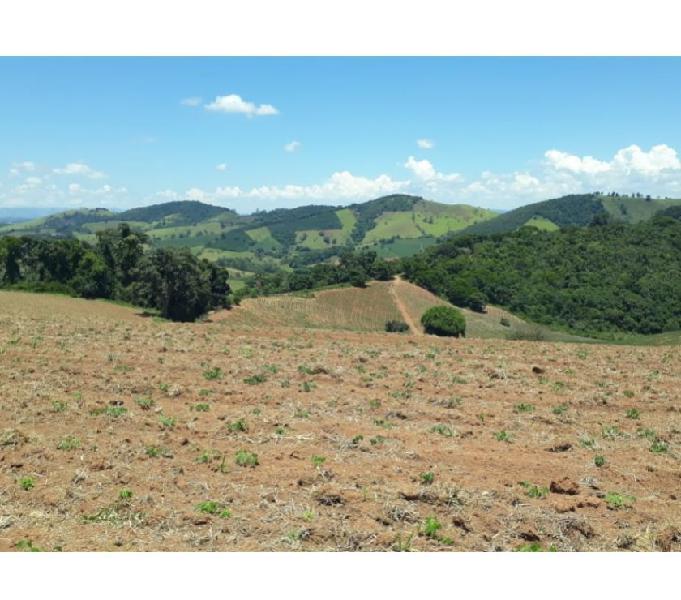 FAZENDA NO SUL DE MINAS