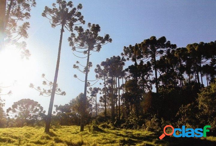 Sítio com área total de 8,25 alqueires, Nazaré Paulista.