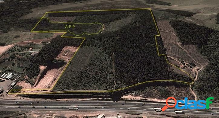 Área de 113 mil metros de Terreno com 400 mts frente