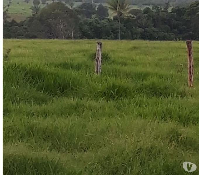 OPORTUNIDADE FAZENDA COM 597 HEC EM SÃO JOSÉ DO RIO CLARO