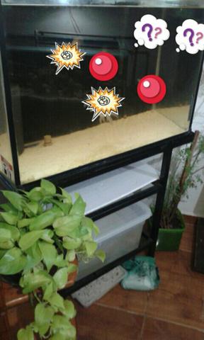 Aquário 240 litros