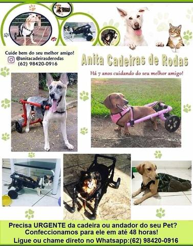 Cadeiras de rodas para cães e gatos