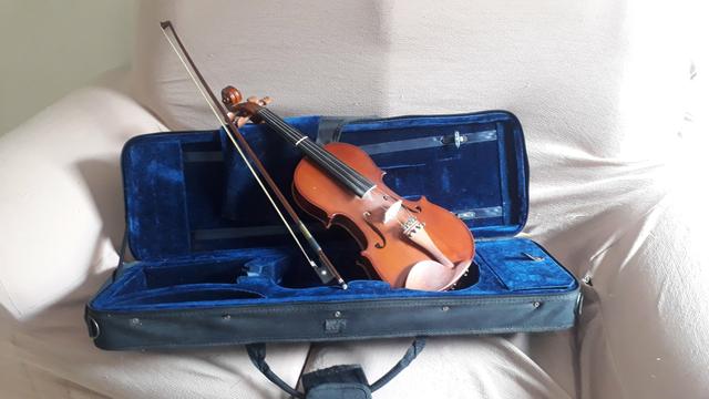 Violino eagle.ve 441