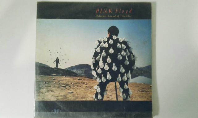 Pink Floyd - Delicate Sound of Thunder