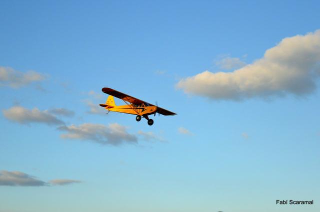 Aeromodelo Piper J3 Cub