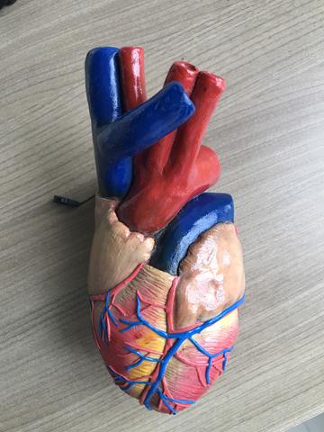 Modelo de coração em biscuit