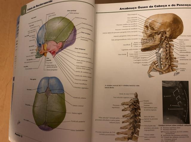 Atlas de Anatomia Humana Netter