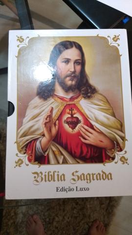 Bíblia Católica - Pe Antônio Figueiredo