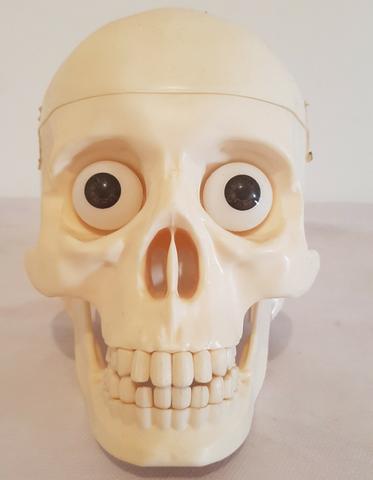 Caveira cranio de PVC coleção Corpo Humano da Editora RBA