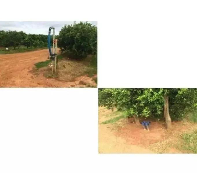 VENDO FAZENDA DE LARANJA - REG. BARIRI - 516 ALQUEIRES