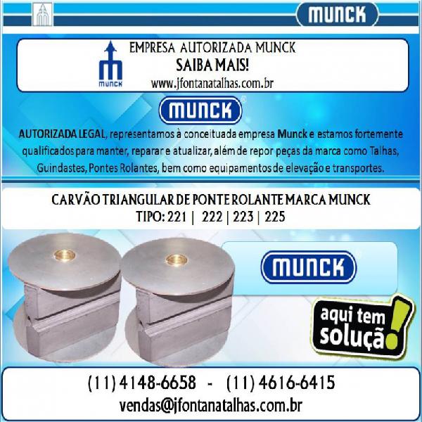 Anel elástico BE-35 Micro Motor talha Munck (11) 4148-6658