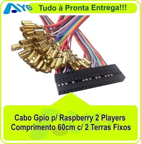 Cabo Gpio 2 Terras Fixo Para Raspberry/ Recalbox(2 Unidades)