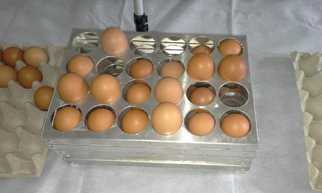 Classificador de ovos manual