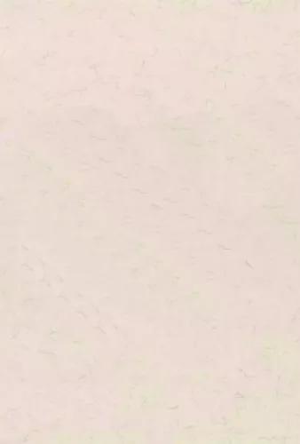 10 Folhas Papel Moeda