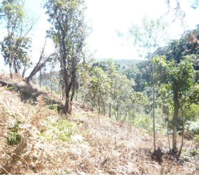 Sítio Barato Com Cachoeira!!!