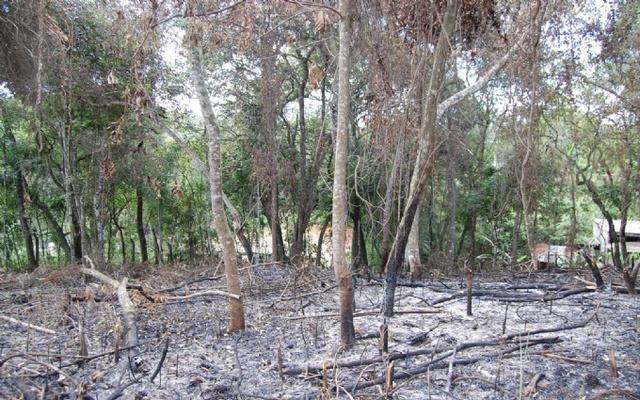 terreno no agua azul