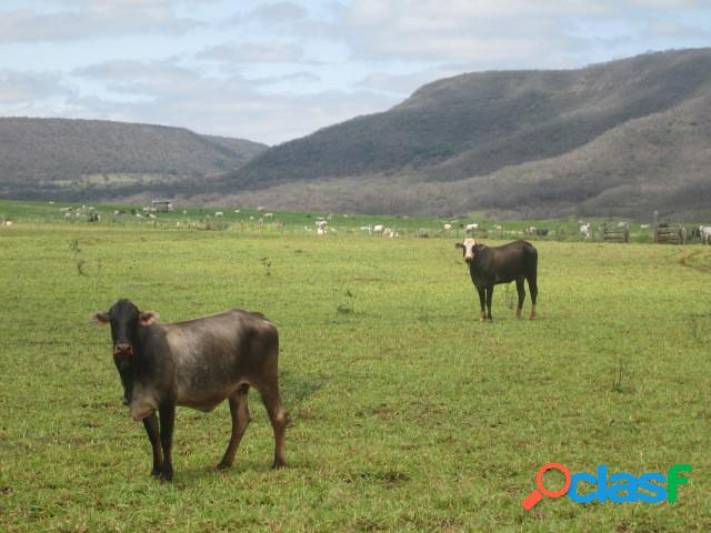 Fazenda - Venda - Campo Grande - MS - Zona Rural