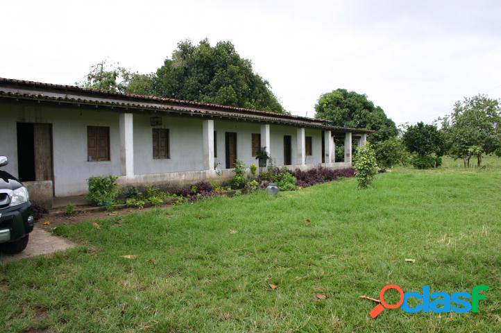 Fazenda - Venda - Santo Amaro da Purificação - AC -