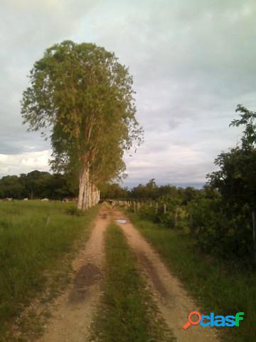 Fazenda - Venda - Tocantinia - TO - rural