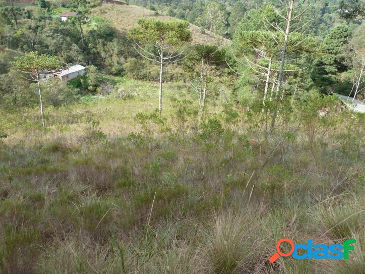 Região de Vila Chantal - 1.208 m²