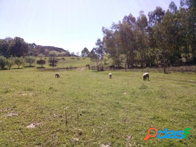 Sítio - Venda - Farroupilha - RS - Linha Vicentina
