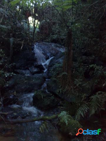 Sítio - Venda - Santo Antonio do Pinhal - SP - Boa Vista