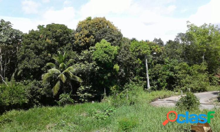 Terreno - Imóveis para Venda - Manaus - AM - Coroado